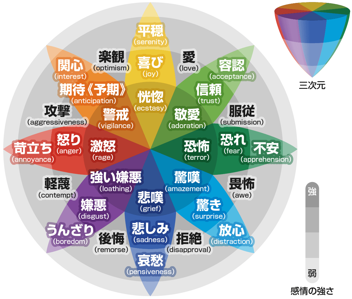 公認心理師 2024-11 - 公認心理師・臨床心理士の勉強会